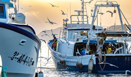 pescaturismospain.com Villajoyosa: Visita al Puerto